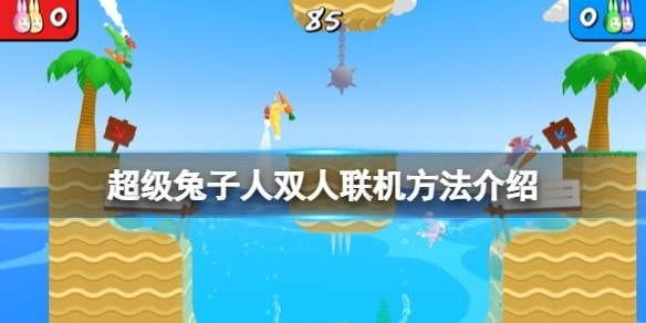 疯狂兔子人怎么联机-疯狂兔子人双人联机攻略