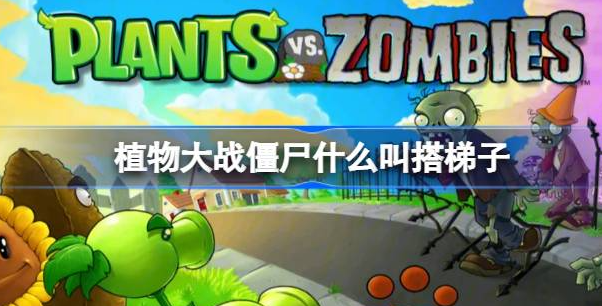 植物大战僵尸什么叫搭梯子-植物大战僵尸搭梯子作用攻略