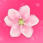 绿巨人樱桃荔枝青青草ios版