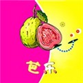 六夜影视手机版下载入口